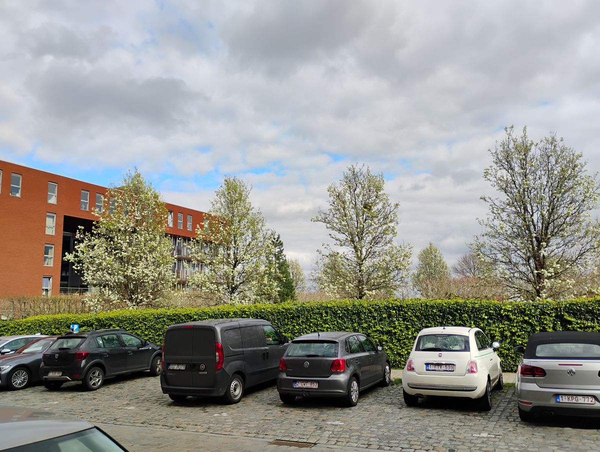 Motorola moto g34 cameravoorbeeld