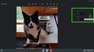 Screenshot showing how to resize an image in Chrome - Enter new width or height