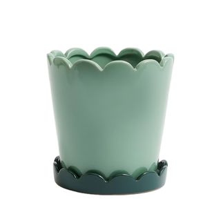 Ceramic Scallop Planter with Tray