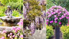 We love front yard privacy ideas. Here are three of these - a silver tiered statue with a cherub on top, a wisteria tree with purple flowers, and a rectangular vase of bright purple flowers with a hedge behind it