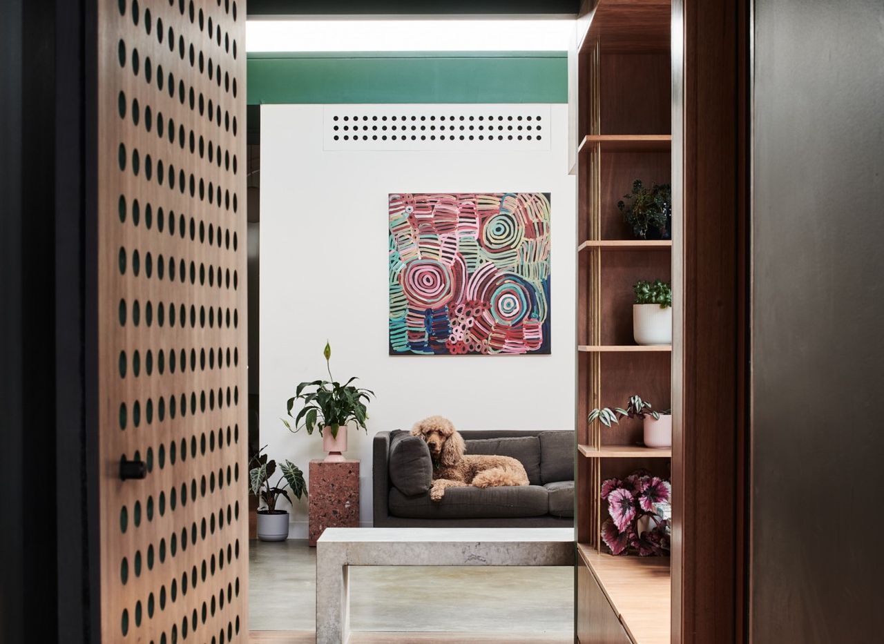 A living room with a cozy sofa, and a dog curled up on it