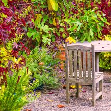 Outside dining area surrounded by seasonal color in the fall