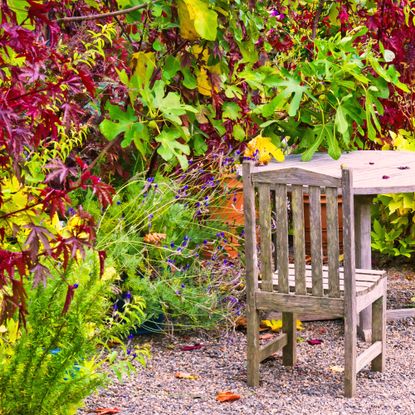 Outside dining area surrounded by seasonal color in the fall