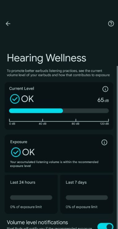 Google pixel buds pro hearing wellness interface