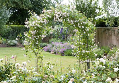 sensory gardens rose arbor