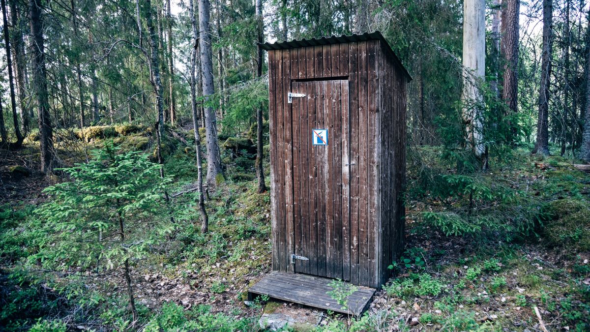 Ein Plumsklo im Wald