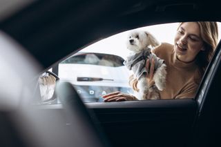 stock.adobe.com © Petro | Welche Features für dich und deine Liebsten sind im Fahrzeugbereich ihr Geld wert?