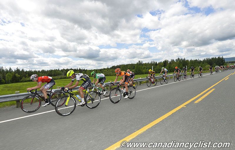 Peloton strung out along the road as they head to the finish