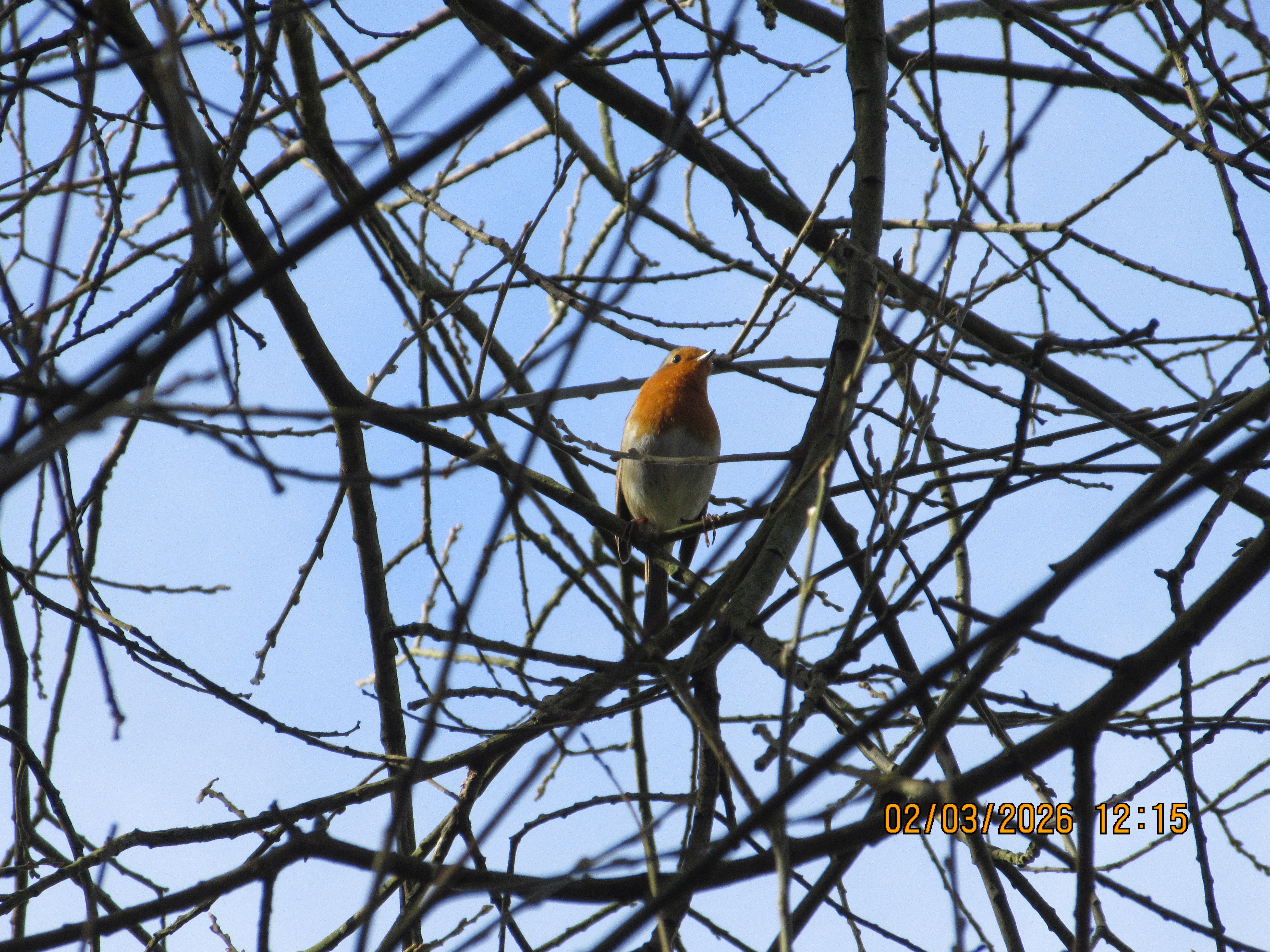 A photo taken on a Canon PowerShot Elph 360 HS A / IXUS 285 HS A compact camera