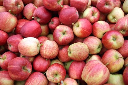 Science says an apple a day could improve women's sex lives