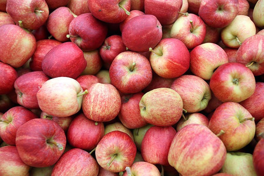 Science says an apple a day could improve women&amp;#039;s sex lives