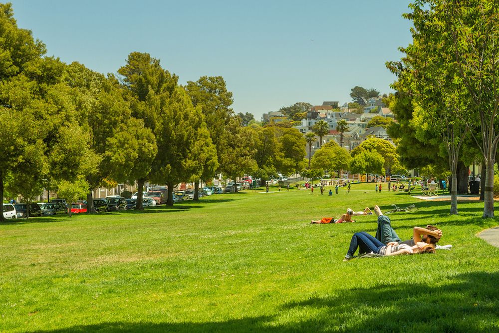 people in a park in San Francisco