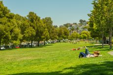 people in a park in San Francisco