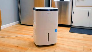 Honeywell 50-Pint Energy Star Portable Dehumidifier in kitchen