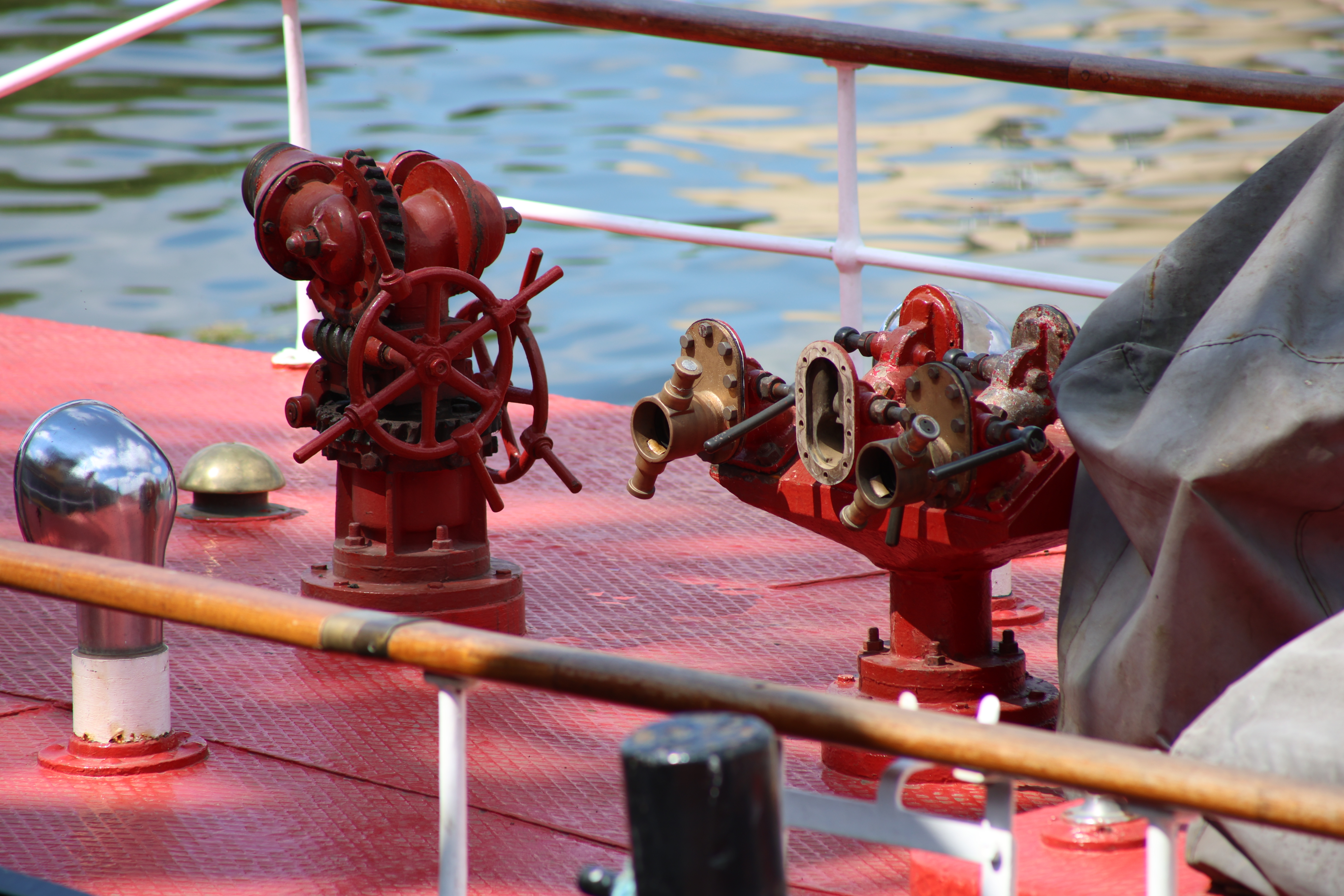 Canon RF 75-300mm f/4-5.6 example shot