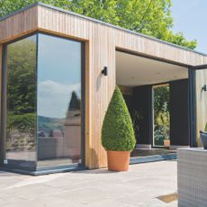 Modern garden room with wooden exterior, windows and potted tree