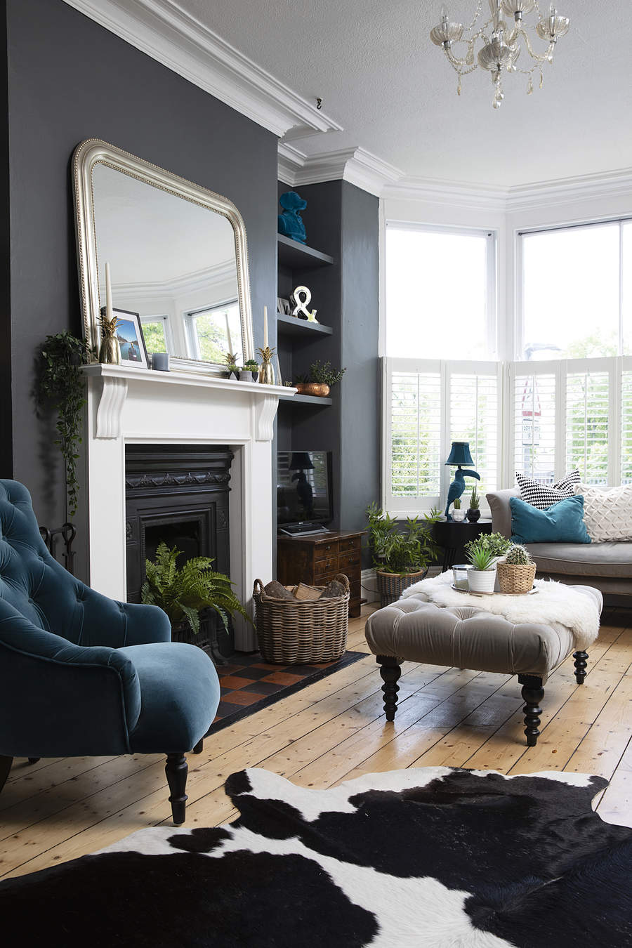 A dark grey living room with traditional black fireplace, white mantel, large framed mirror over mantel, alcove shelving, cow-print rug, blue velvet armchair