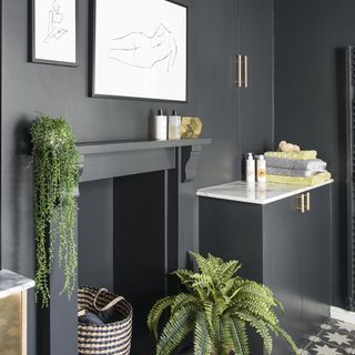 grey wall and shelves and plants pot