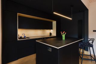 a Black wall mounted radiator. In the middle is a black kitchen island with plant on top.