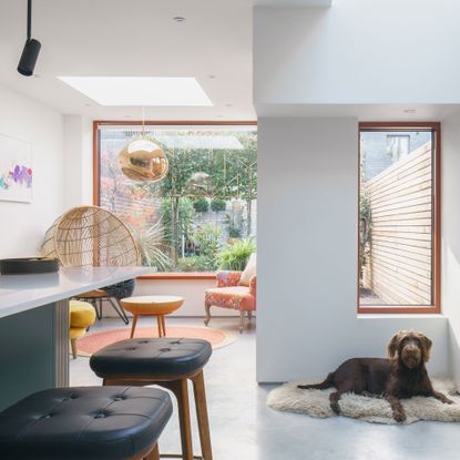 light and bright open plan kitchen with seating area and large windows and a dog in the foreground