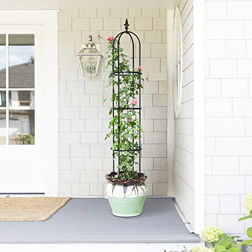Atr Art to Real Garden Obelisks for Climbing Plants Metal,screw-Free Design Trellis for Climbing Plant Supports for Cucumber,sweet Pea Frame,easy to Assemble,black