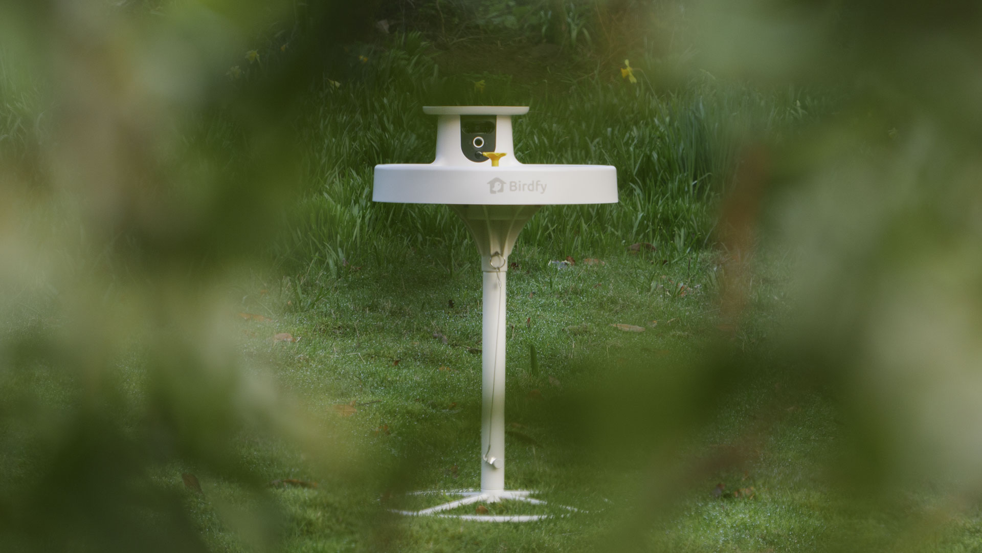 Birdfy Bird Bath Pro camera in a garden