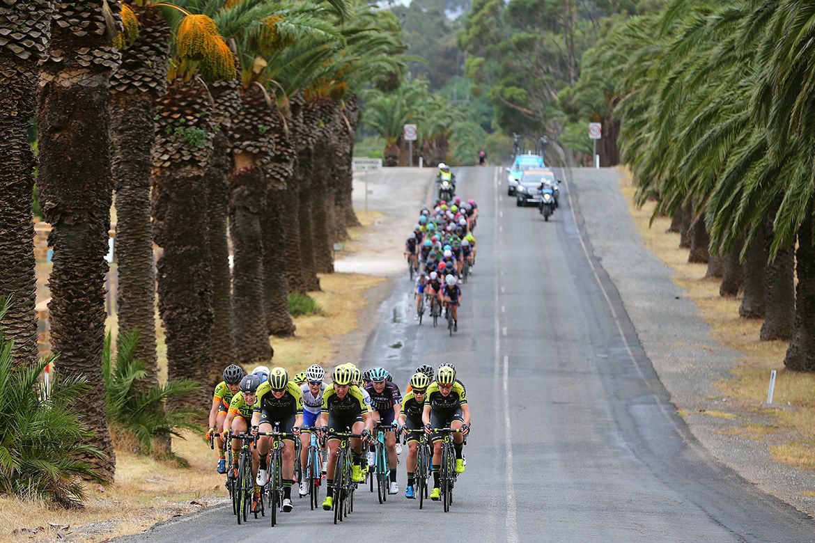Splits in the peloton