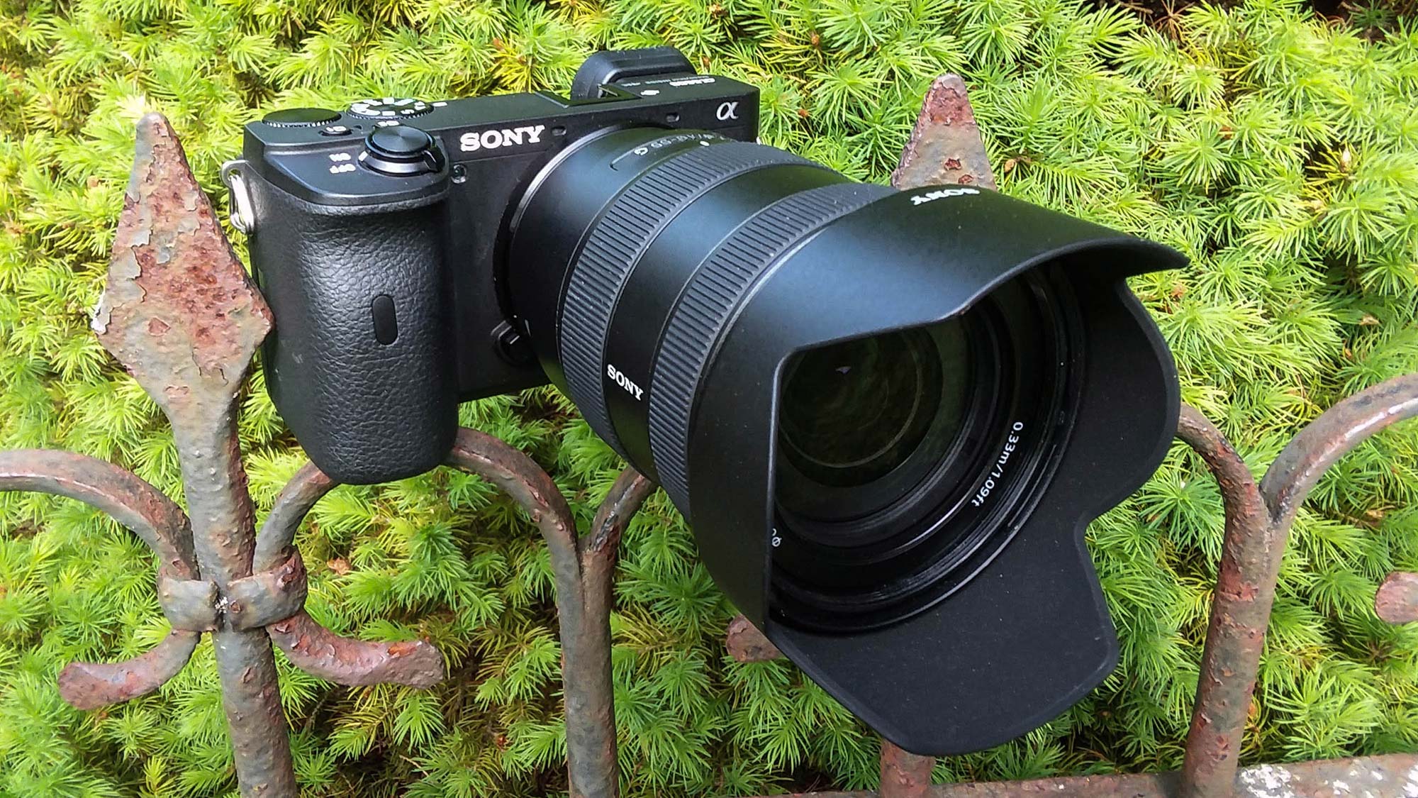 best camera: Sony Alpha a6600