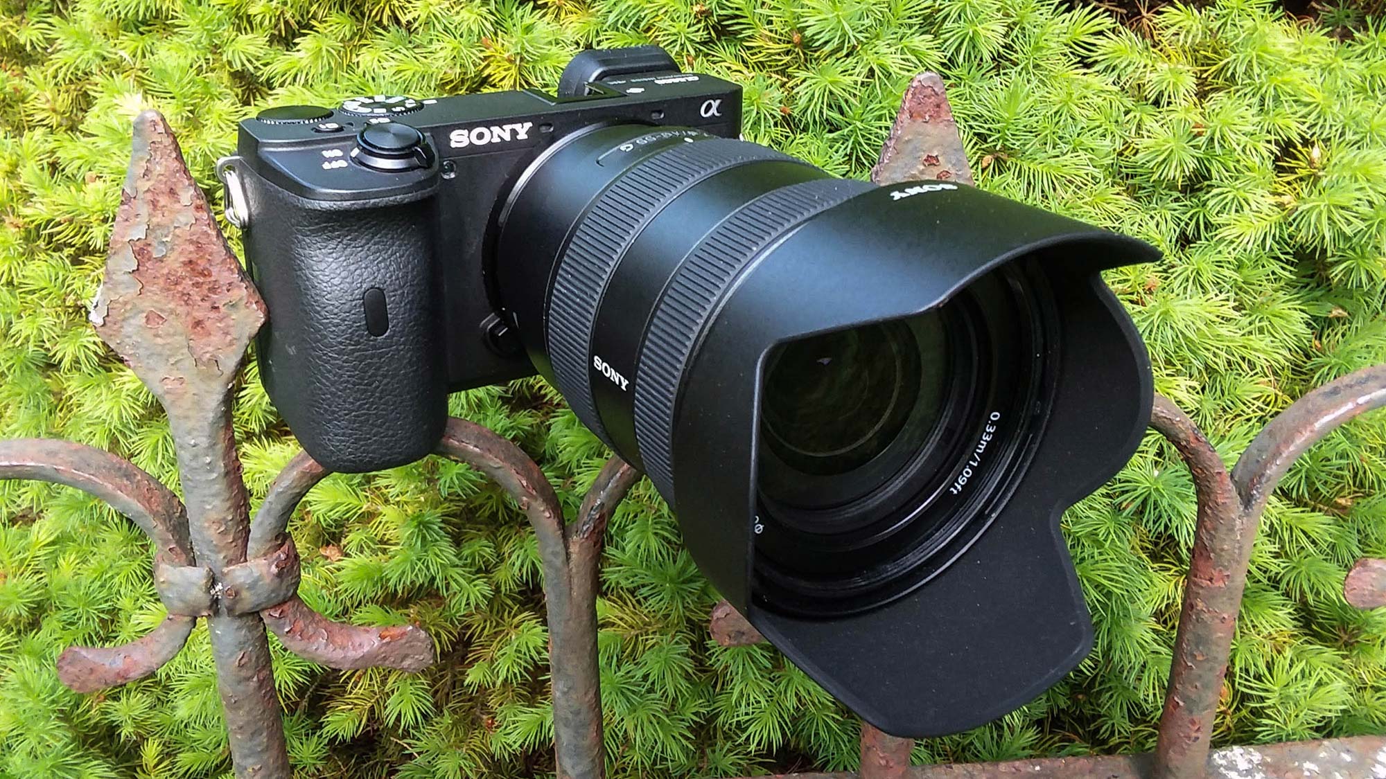 Sony a6600 Review 