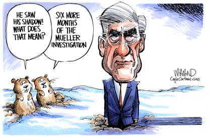 Political Cartoon U.S. Groundhog Day Mueller investigation