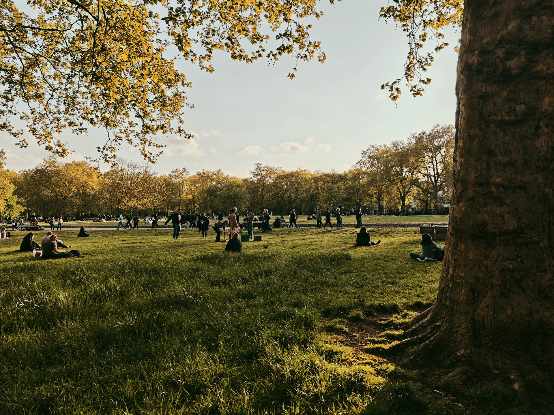 Leica filters on Xiaomi 15