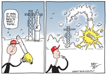 Political Cartoon