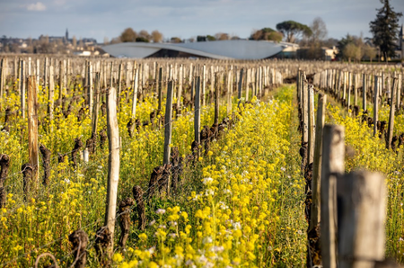 Cheval-Blanc-Agroecology