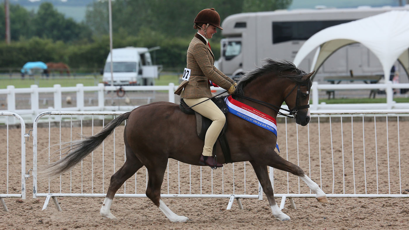 1607 Chloe Chubb Moelview Prince Charming (M&amp;amp;M supreme champ)