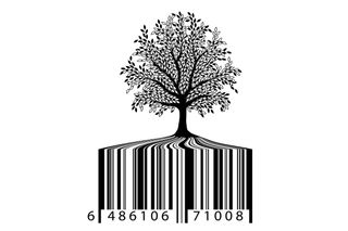 Tree with barcode as its roots