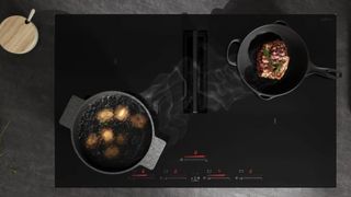 Elicia NikolaTesla Flux downdraft cooktop