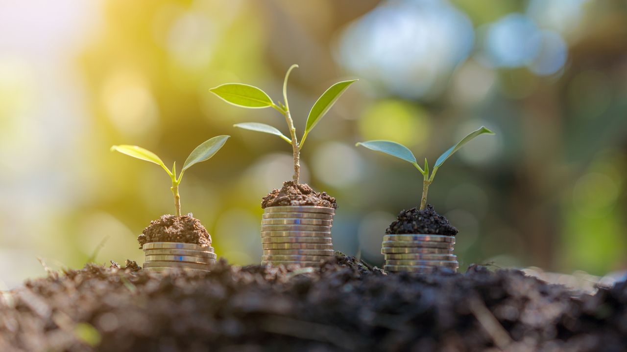 Growing plants are perched on top of stacks of coins.