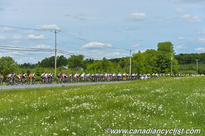 Peloton has little time to enjoy the scenery