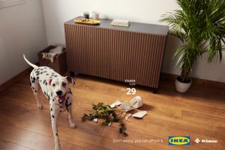 Ikea advert showing a dog and a broken vase