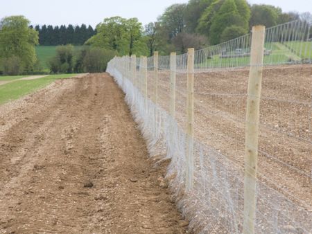 Long Deer Proof Fence