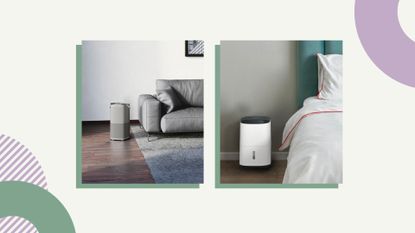 collage image of an air purifier in a living room and a dehumidifier in a bedroom to explore benefits of air purifiers vs dehumidifiers