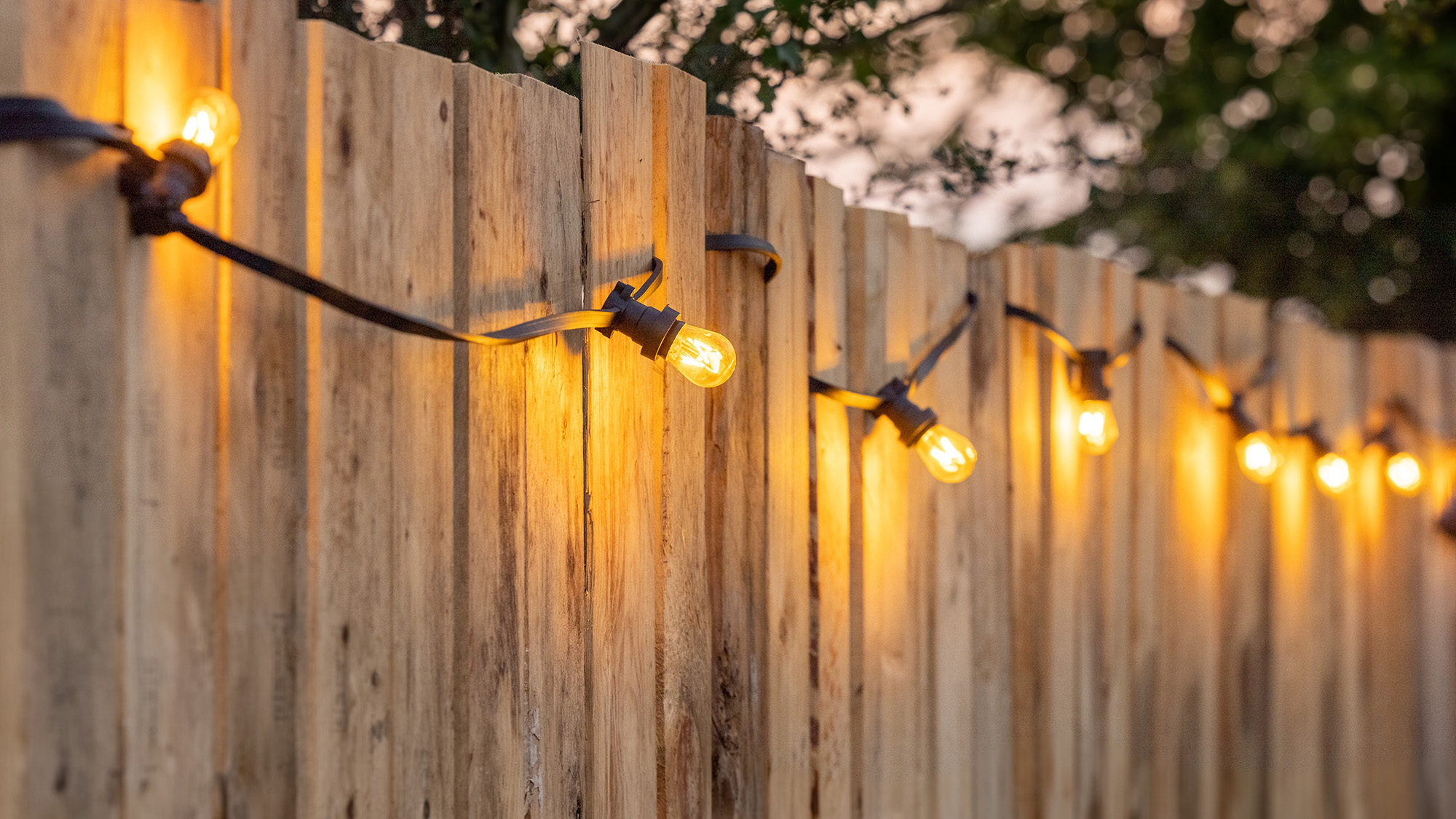 String lights in backyard