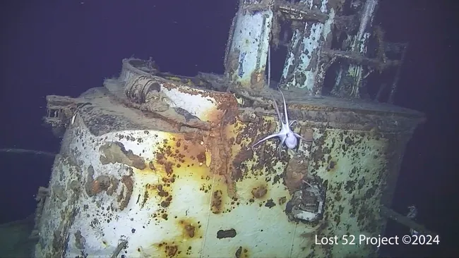 An octopus on the "conning" or command tower of the wreck of the American submarine USS Harder, which sank near the Philippines in 1944 after a battle with a Japanese destroyer. (Image credit: Lost 52 Project)