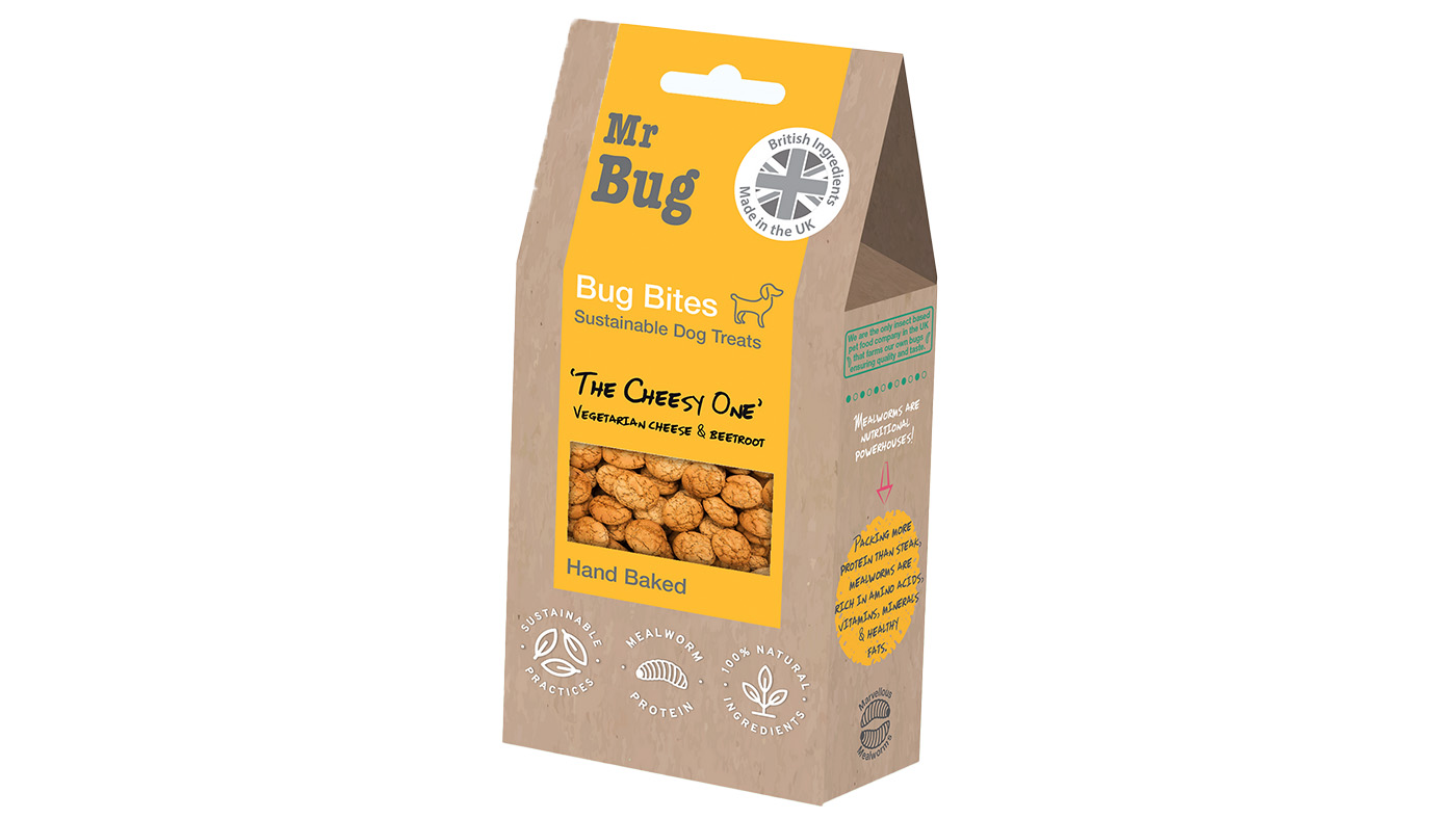 Mr Bug Bites