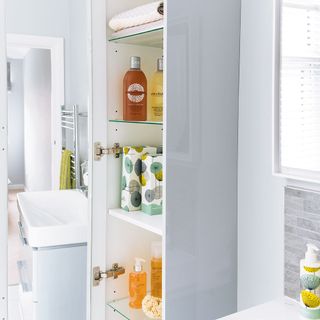 bathroom with cupboard and washbasin