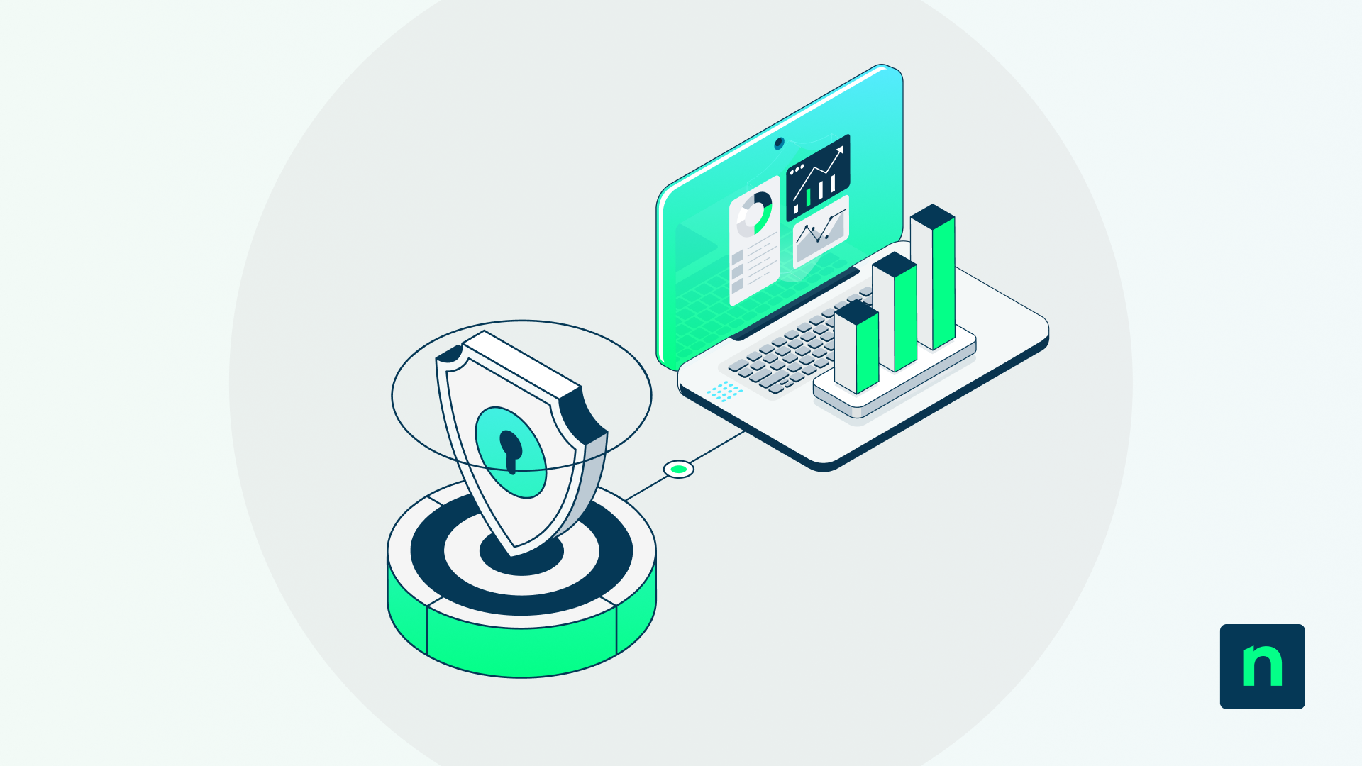 ITPro NinjaOne Data Hygiene