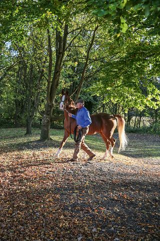 Equine Journeys: The British Horse World by Hossein Amirsadeghi