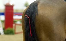 red-ribbon.jpg