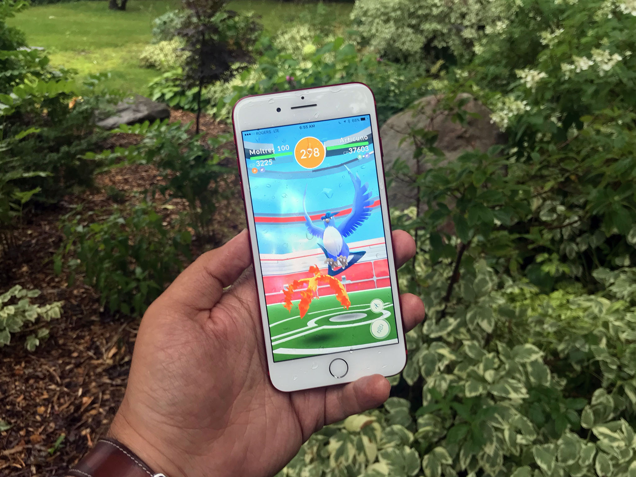 Pokémon GO's Shiny Articuno Day: What Time Is It, And What You Need To Do