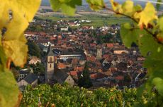 Domaine Jean Sipp Alsace